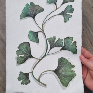 Groene ginkgo aquarel op Khadi papier