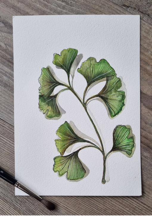 Groene ginkgo aquarel - Afbeelding 2