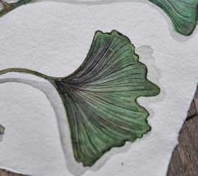Hoe begin je met aquarel?