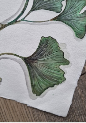 Groene ginkgo aquarel op Khadi papier - Afbeelding 2