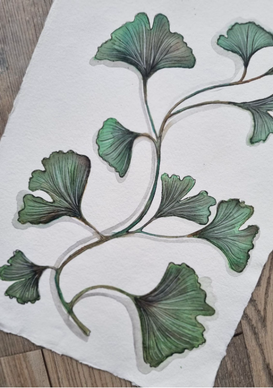 Groene ginkgo aquarel op Khadi papier - Afbeelding 3