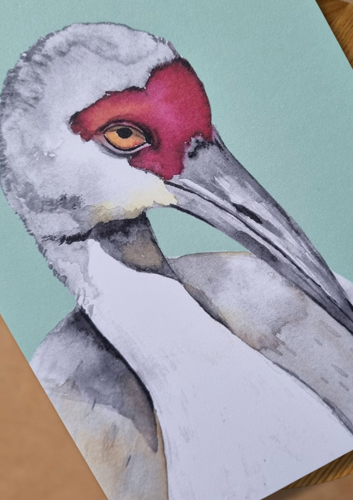 Kaart kraanvogel - Afbeelding 3
