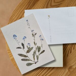 geperste vergeet-me-nietjes in herbarium stijl