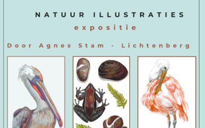 Expositie Natuur illustraties