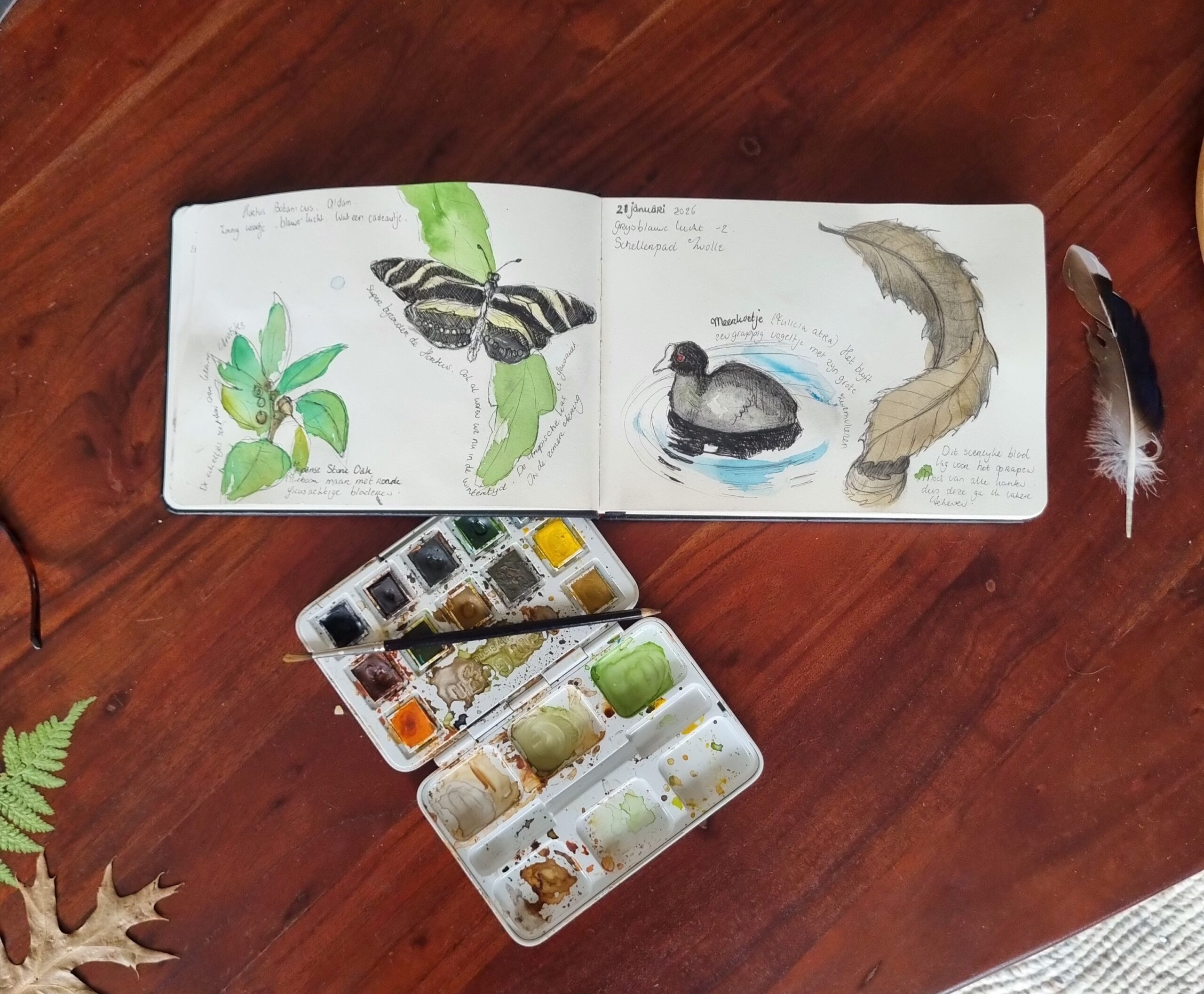 natuurjournaling