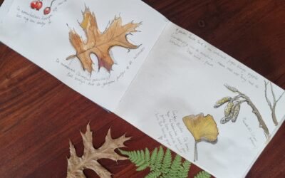 Natuur journalen