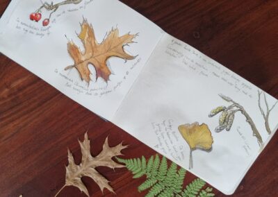 Workshop Natuur journalen
